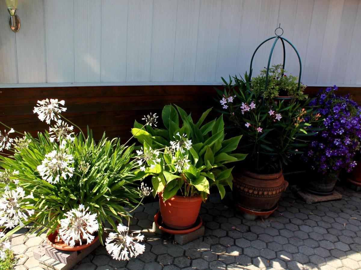 Pretty Bungalow In Neubukow With Garden, Roof Екстер'єр фото